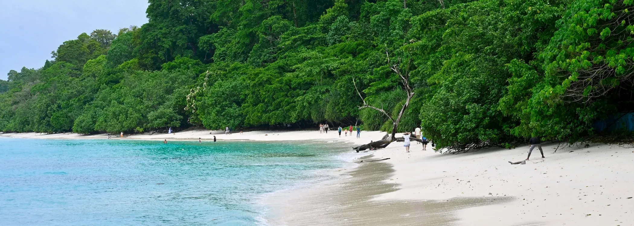 Andaman Beach paradise