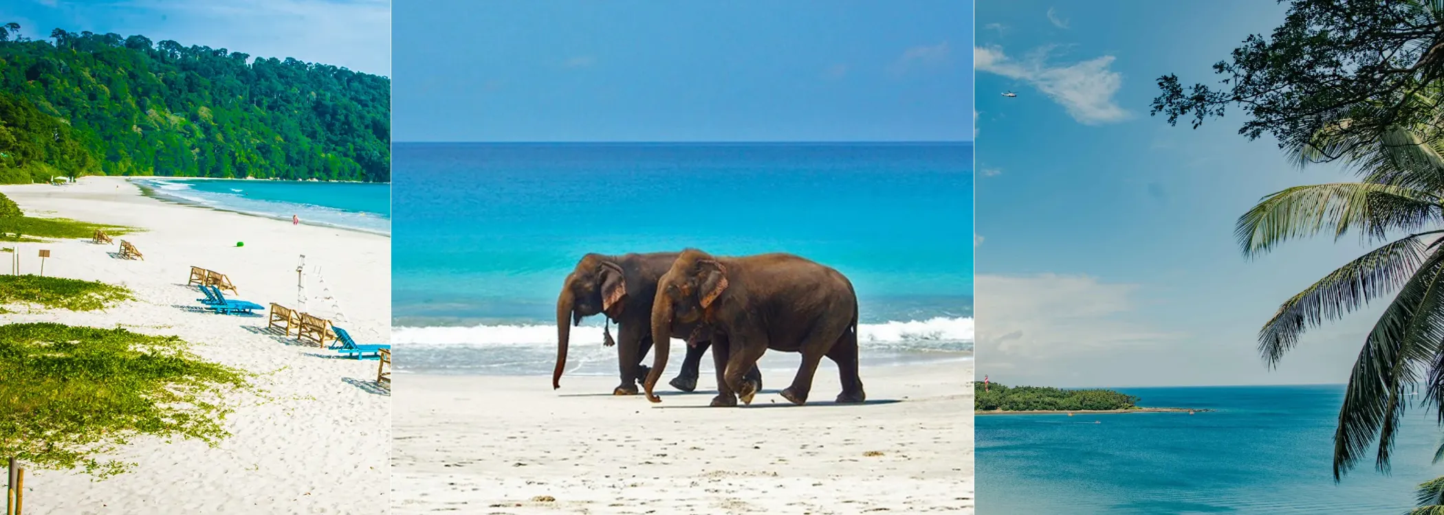 Andaman Family Island Delight