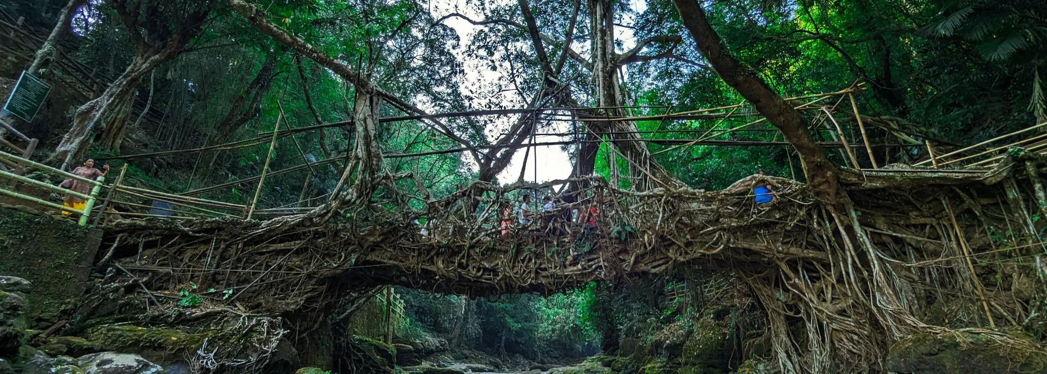 Cherrapunji Rain Retreat 