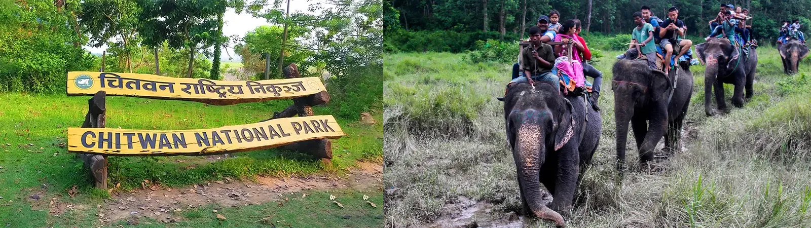 Chitwan Wildlife 