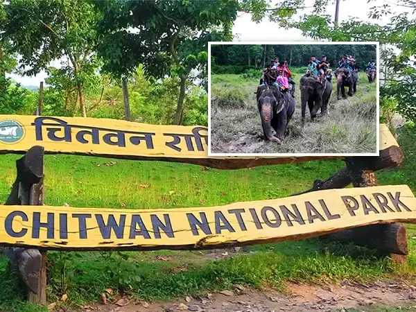 Chitwan Wildlife 