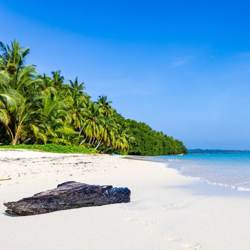 Happy Andaman Delight 