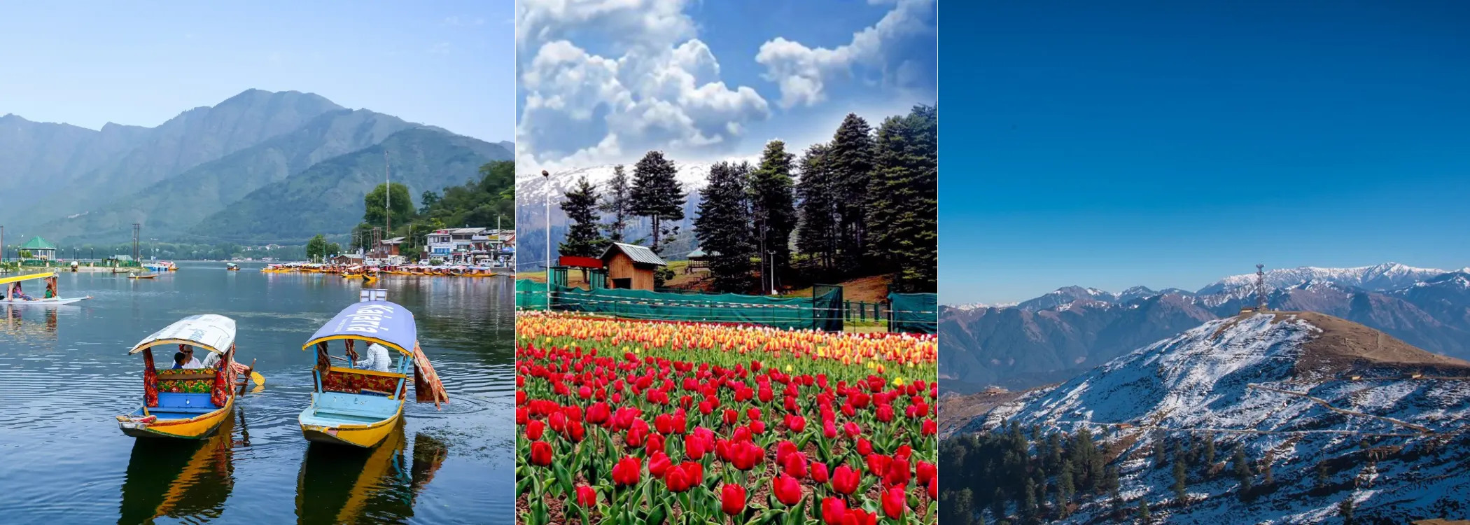 Jammu Serenity Escape