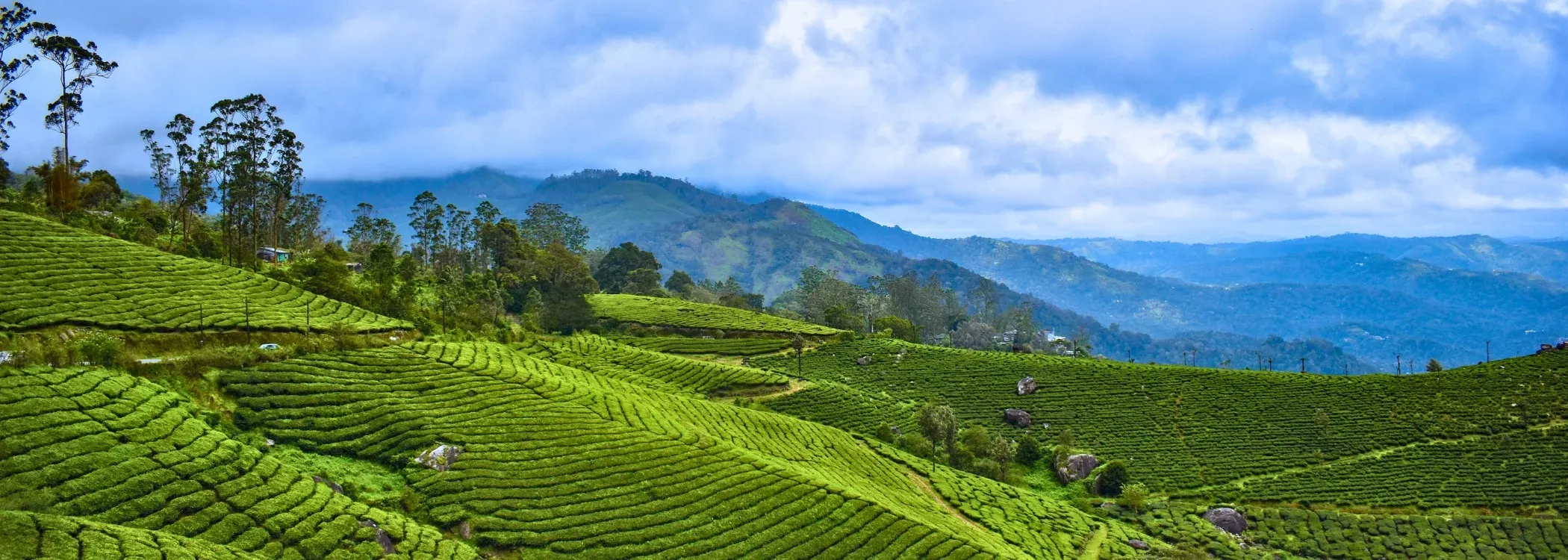 Kerala Nature Bliss with Family