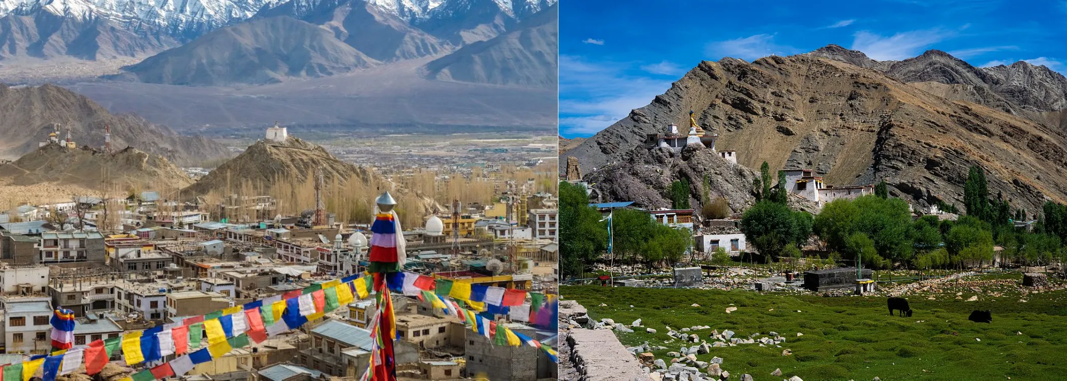 Leh & Sham Valley Retreat