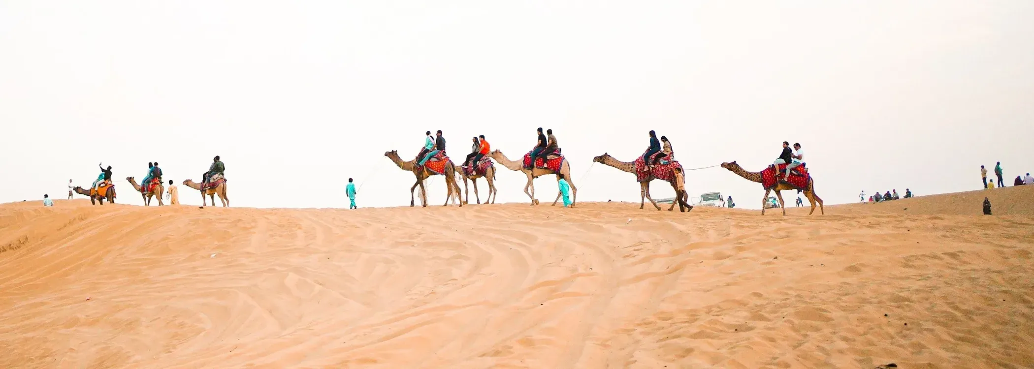 Royal Rajasthan Family Escape