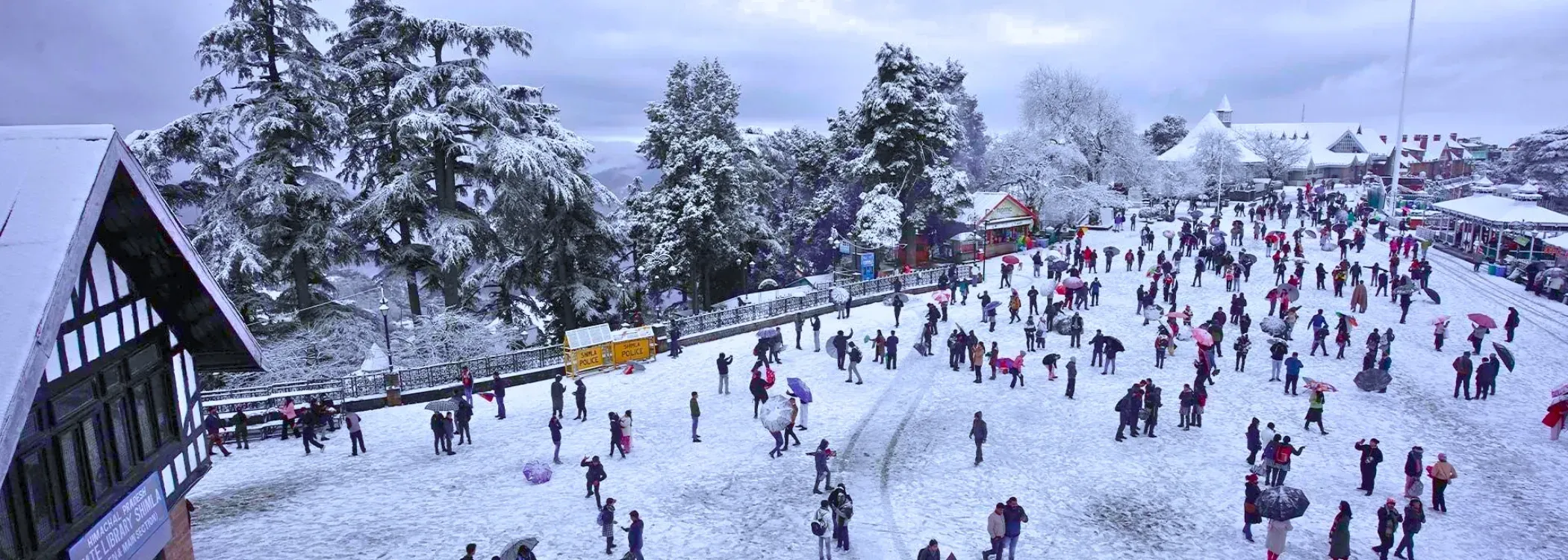 Shimla Snowfall Special