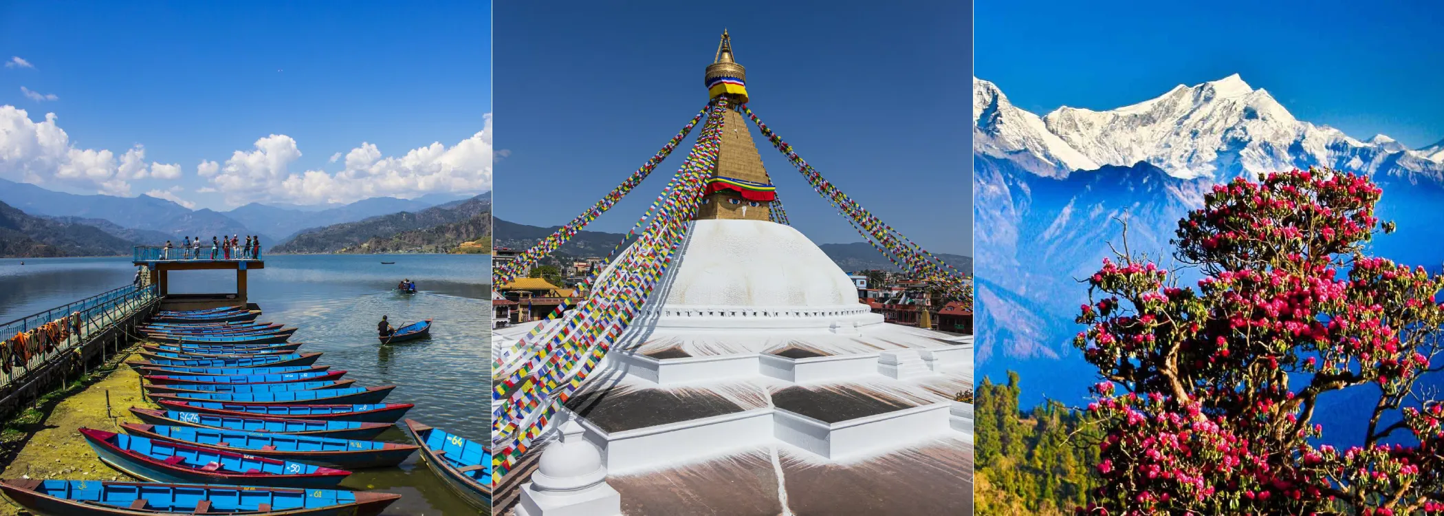 Wildlife & Wonder of Nepal 