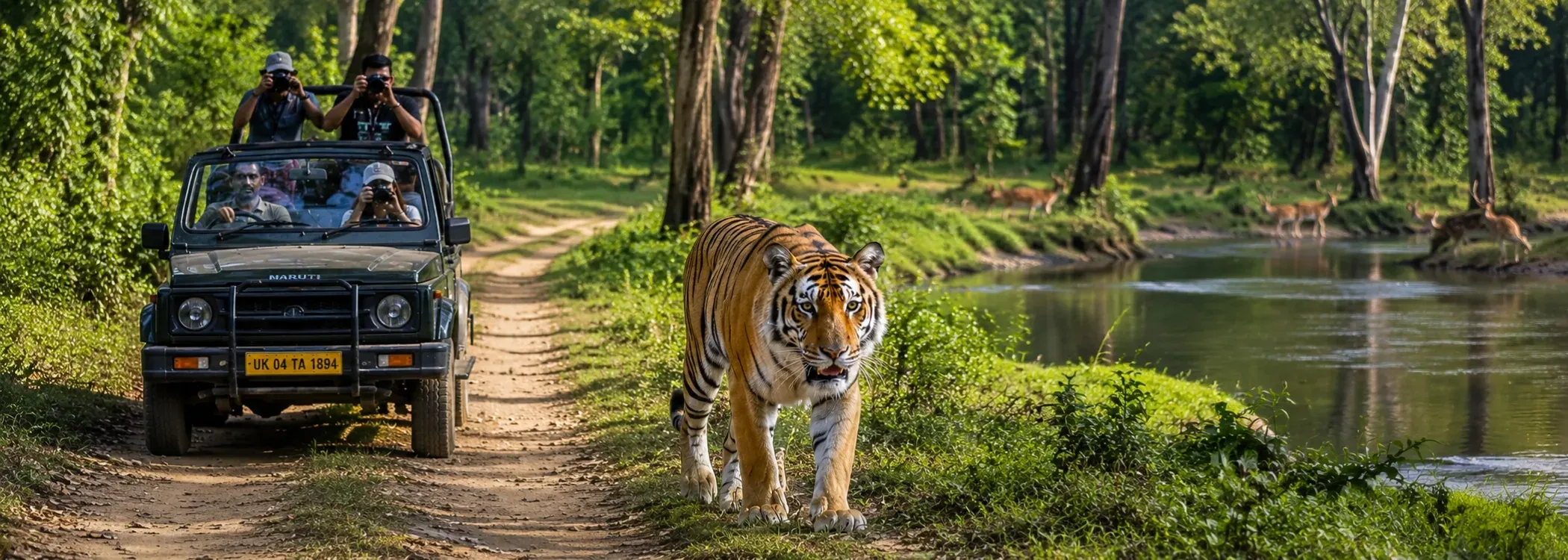 Wildlife